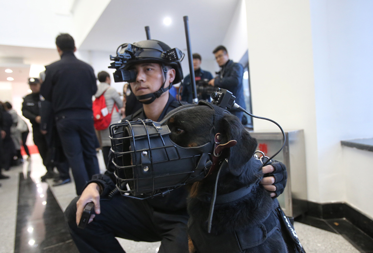 如虎添翼当警犬带上装备