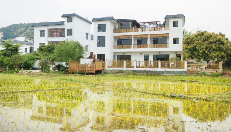 广州市从化区良口镇米埗村的民宿正对田园,面向都市客源主打观光休闲