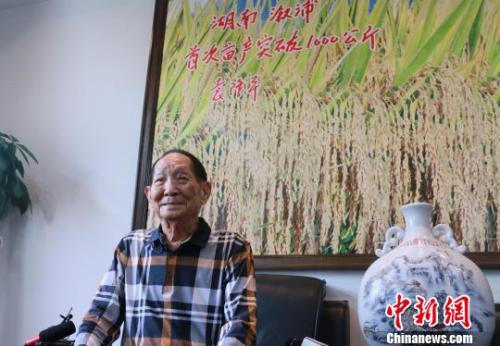 袁隆平9月5日在湖南长沙接受媒体采访时透露,超级稻有可能在10月突破大面积亩产1200公斤大关。 刘双双 摄