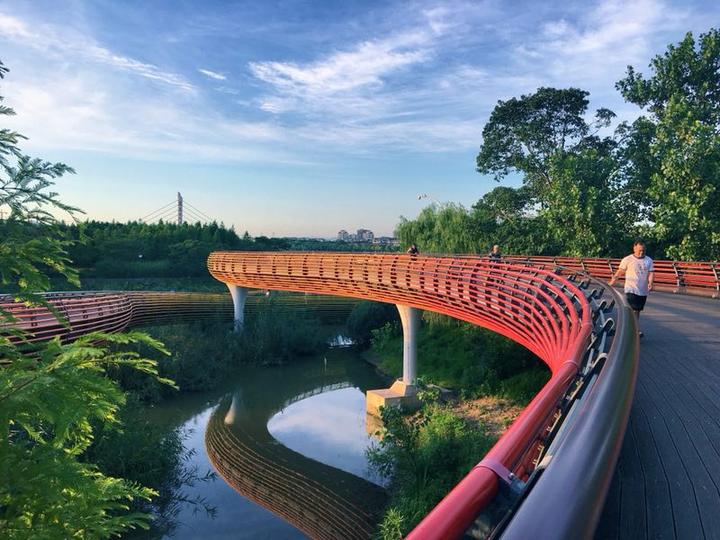 摄影师驾到 | 金华人眼中的世界(7.10)