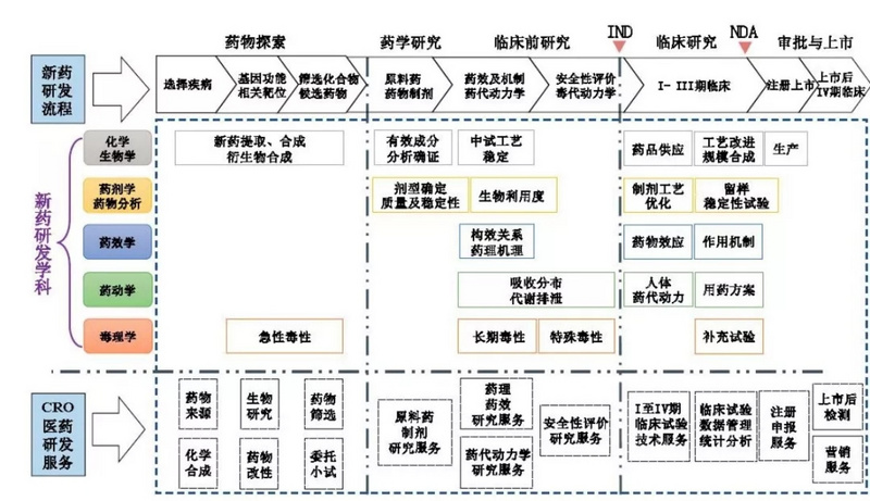 药物研发过程大致可分为药物探索和早期研究,临床前研究,临床研究和