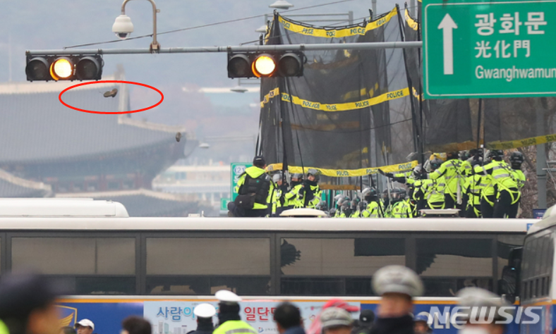  11月30日，韩国民众向美国大使馆扔鞋，被防护网拦下。（纽西斯通讯社）