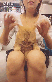 抖音有毒,我们没药!是什么让你根本停不下来?