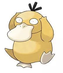 北京车主起诉国税局请求法院审查国家税务总局