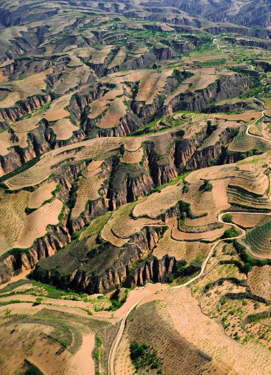 黄土高原上的绿色 ，摄影师@许兆超/星球研究所
