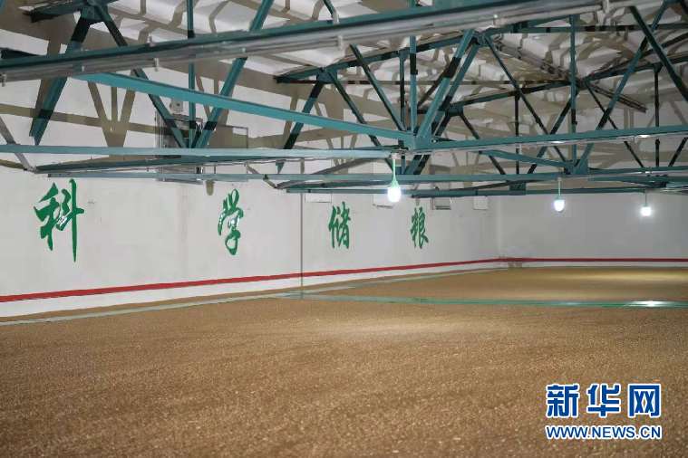 世界粮食日|"塞北粮仓"的智慧仓储"黑科技"