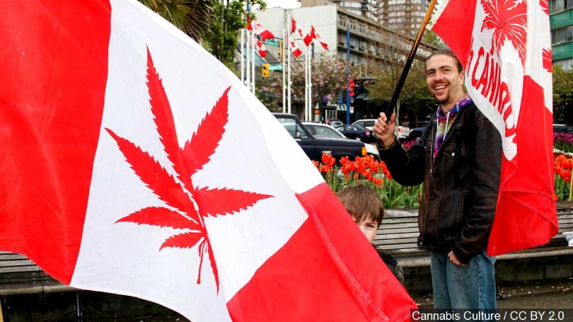 民众手持“改版”的加拿大国旗，上面的枫叶图案被替换为大麻叶。图自加拿大杂志《大麻文化》