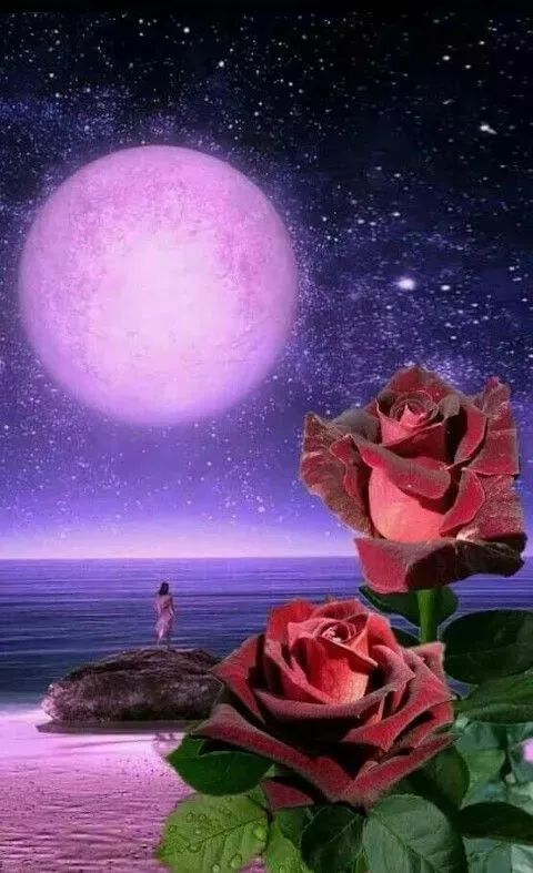 临近中秋送你月夜美人图一辈子看一次值了