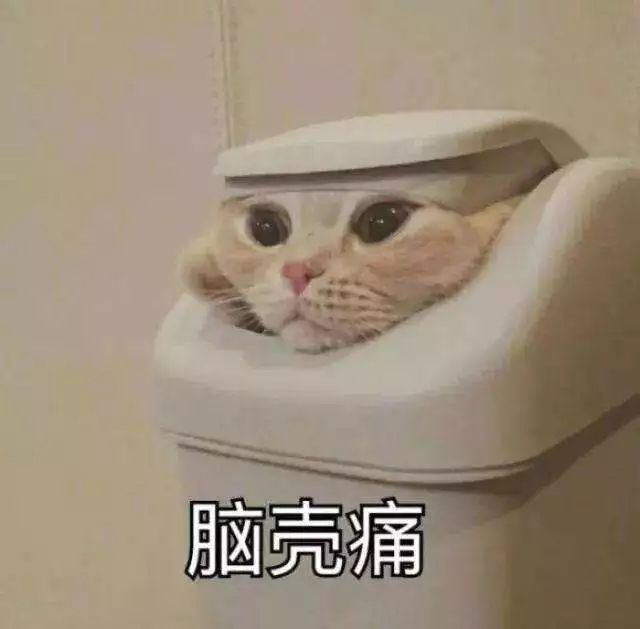 ▼ 一眨眼,又到了一年七夕,从前段时间开始,办公室的日常对话就从"