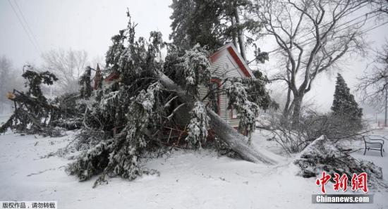 资料图：2019年3月，美国多地遭暴风雪侵袭，影响8000万居民。