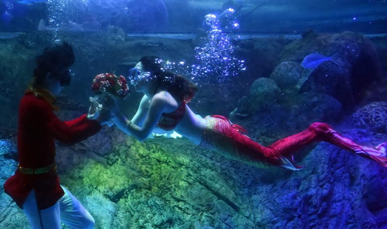 视频想看美人鱼之恋吗