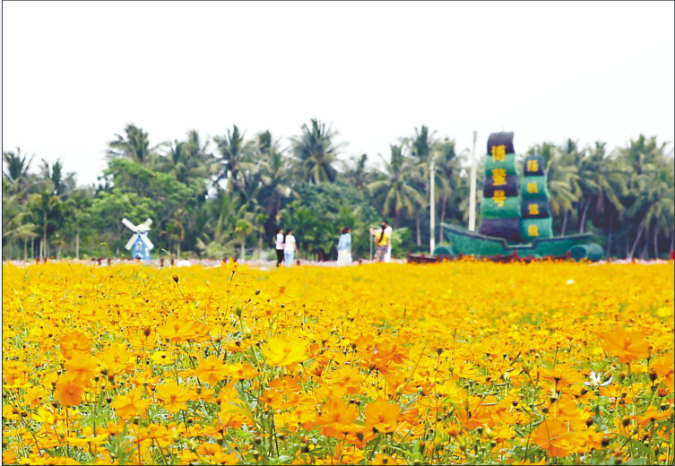 海南琼海:乡村美产业兴农民富