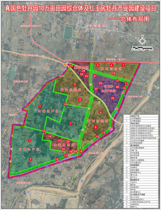 按照东阿县提出的"百里黄河,百里牡丹"工程,服务和引导唯真国色在东阿