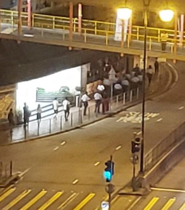 ������Ա���ֳ��Ѳ� ͼ�ԣ�����