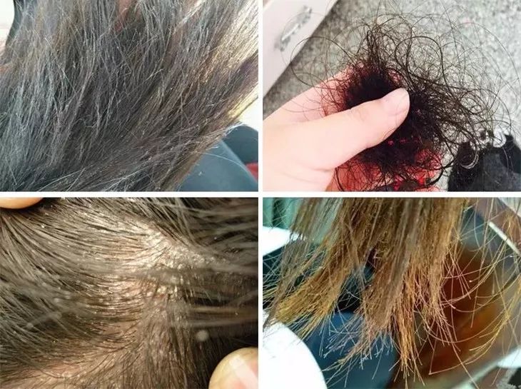 日本黑科技干发帽,10秒吸干一斤水,3分钟头发自然干