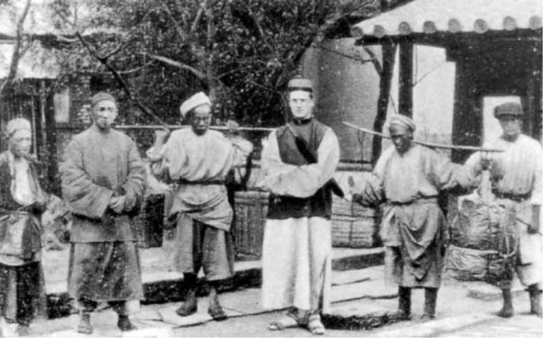 新西兰奇异果 日本青梅 源自中国的世界明星 新西兰 新浪新闻