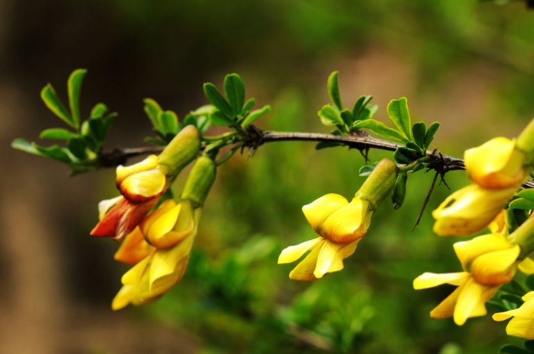 一个词形容云南的春天:好吃!