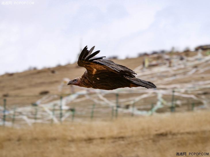 即将"消失"的色达佛学院 松下lumix g9行摄川西(2)