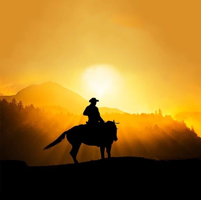 我们在纠结孩子要不要学骑马,别人家的小孩已经学会了驯马