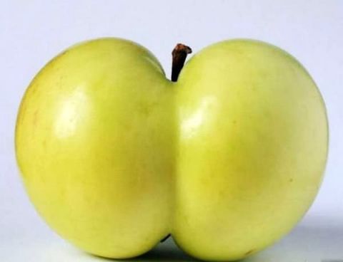 全球最妖娆的水果,西瓜,草莓长出性感"屁股"!最后一个10年才成熟!