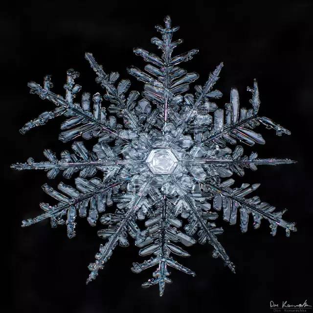 每片雪花都是限量版 新浪网