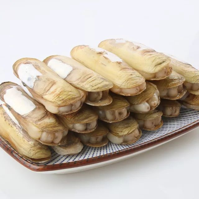 挑好货三十年百里洋涂只为坚守那片美人蛏