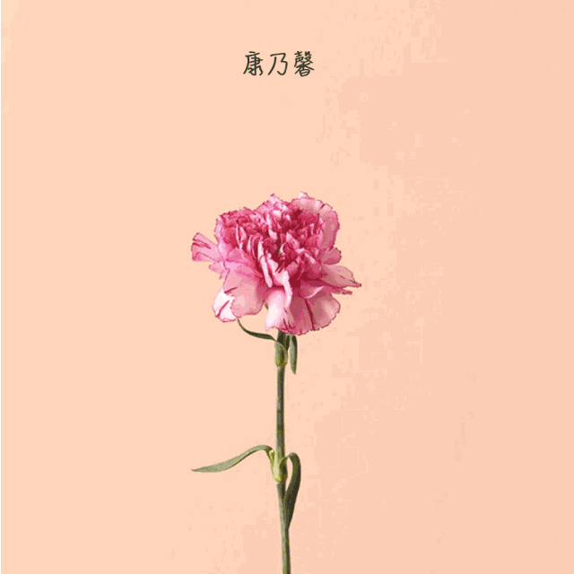 你娘收到鲜花后,引发的人生拷问|康乃馨|花盒|鲜花_新浪新闻