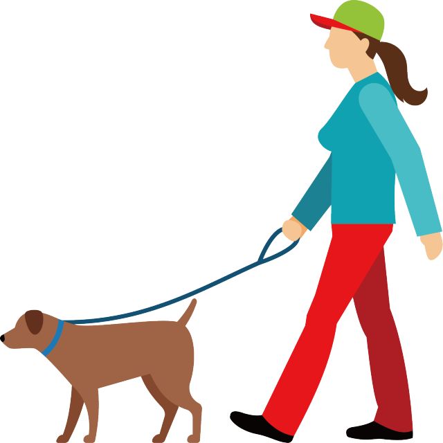 养犬不能任性要登记遛狗须牵绳