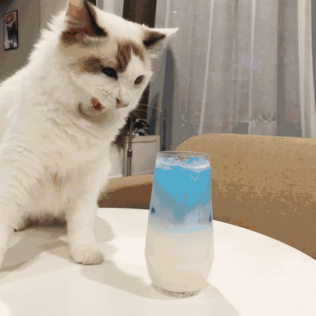 640_640gif 动态图 动图