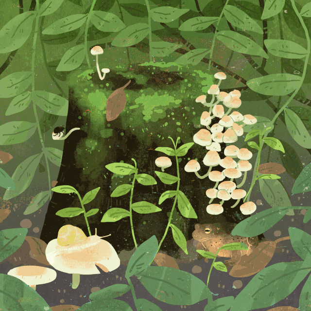 插画丨小清新插画就该这么造淡雅的gif真想生活在画里很美