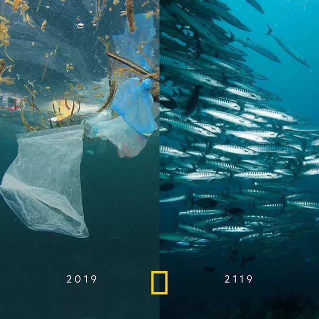 国家地理都市焦虑症的免费解药