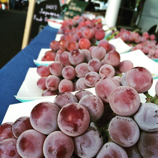 土地稀缺种葡萄不够用?日本人跑到美国加州一口气租了200亩