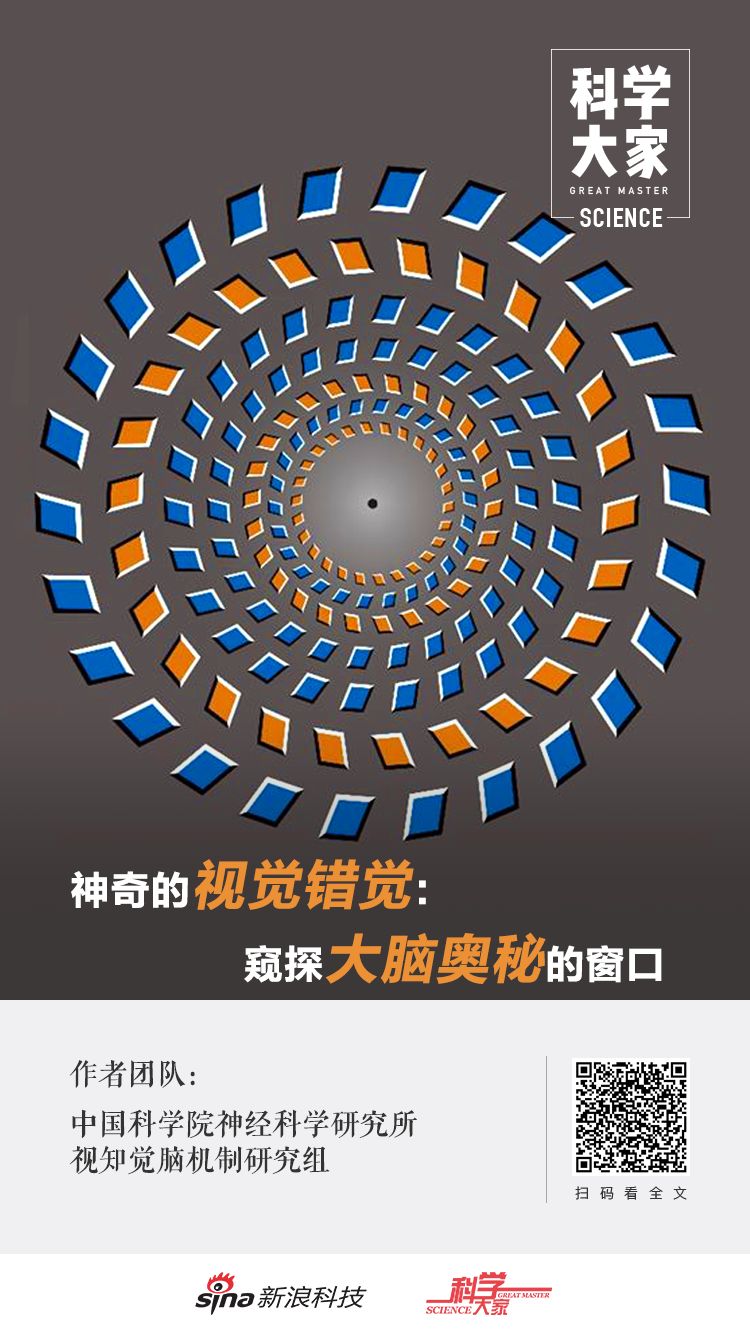科学大家专栏神奇的视觉错觉窥探大脑奥秘的窗口