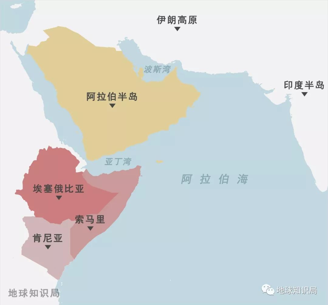 这次的蝗灾,真的很凶