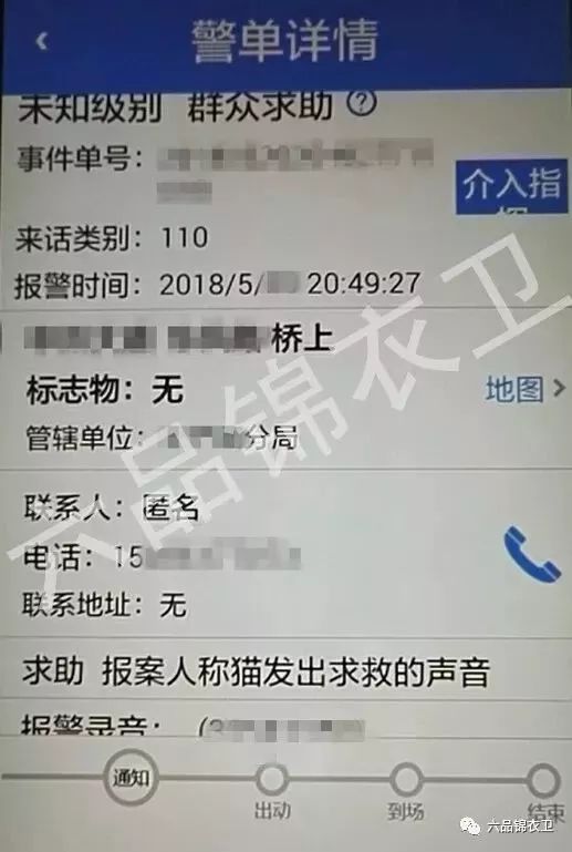 发现一只迷路的鸡……细数那些让警察哭笑不得的报警求助