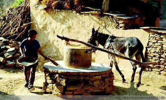 驴戴着眼罩,在黑暗里拉着石磨在磨道里一圈圈地转,人不让停歇,它会