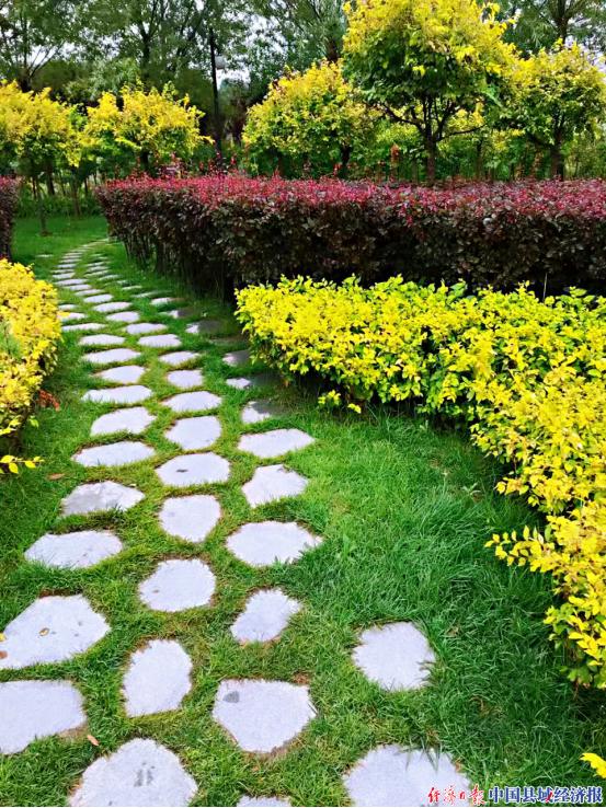 兰州九州台牡丹园布设花景迎 五一 牡丹园 新浪新闻