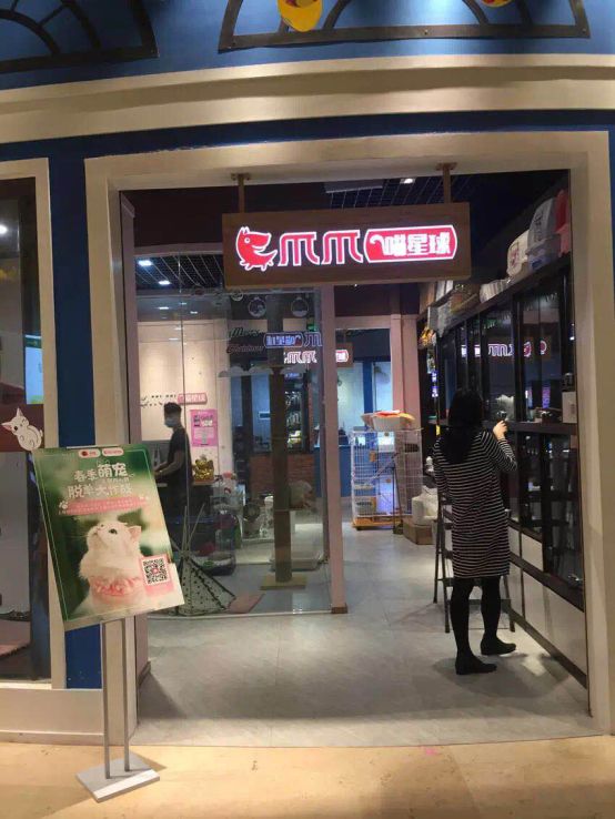 因为他们家有9家线下宠物店,旗下还有爪爪喵星球.