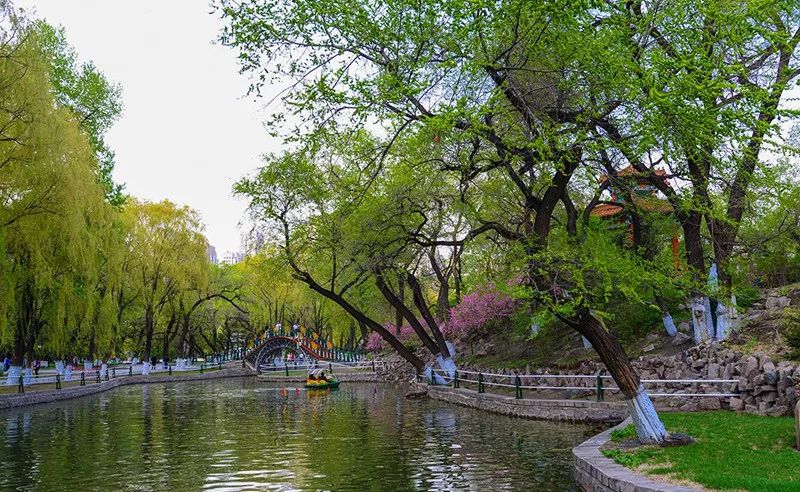 哈尔滨这9个公园成功"升星"!在你家附近吗?春天赏花打卡好去处↘