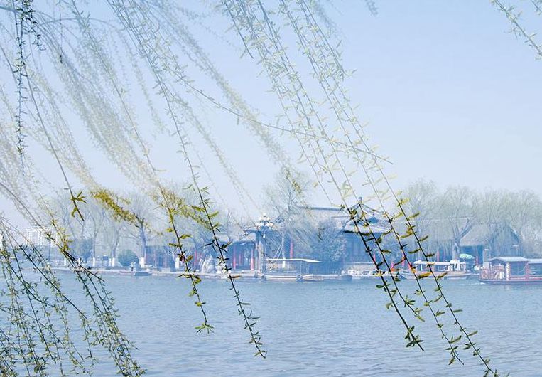 图:三月的风,四月的雨