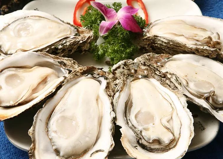 生蚝说:从乳山到你舌尖的距离只差一个"泰报优选"|乳山|牡蛎|养殖