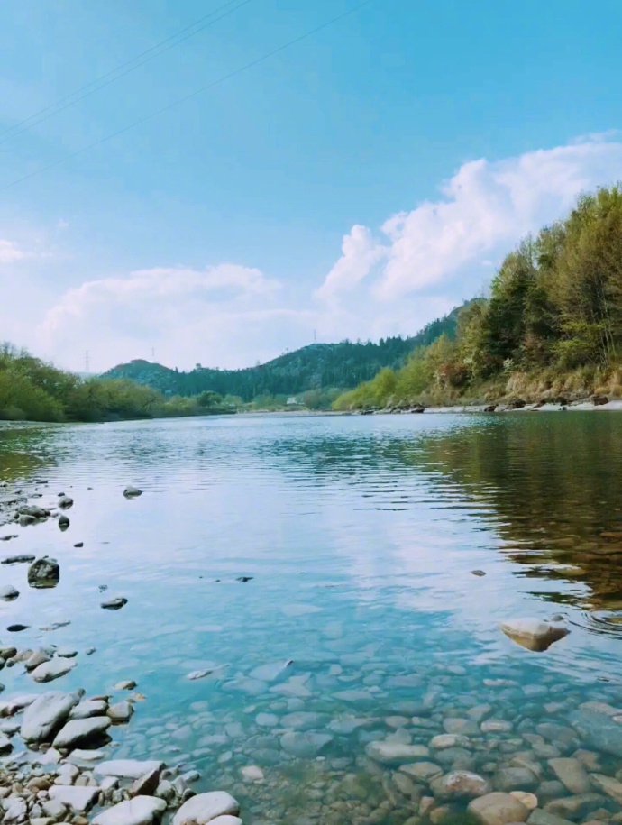 张含韵郊游享受阳光美景 扎双马尾青春活力