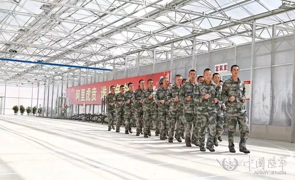 在这里活着就是奉献而他们却坚守了69年