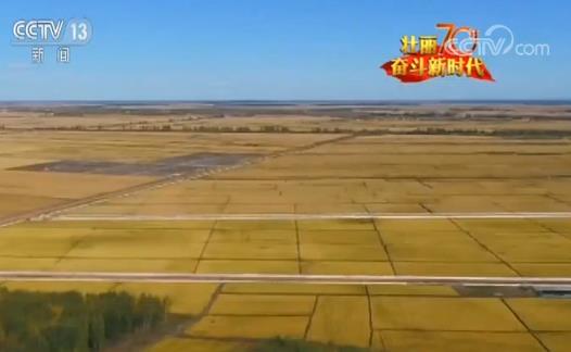 壮丽70年奋斗新时代沧桑巨变北大荒变北大仓