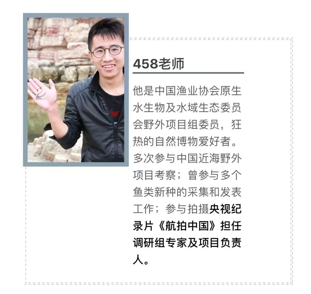 458老师的授课方式,非常轻松活泼,让孩子在笑声中,就把知识学了