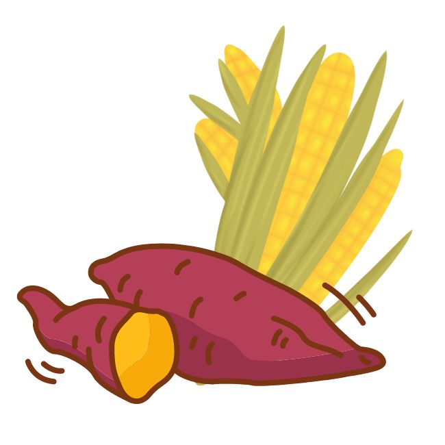 谷类和薯类:可以为人体提供碳水化合物,蛋白质,膳食纤维和b族维生素.