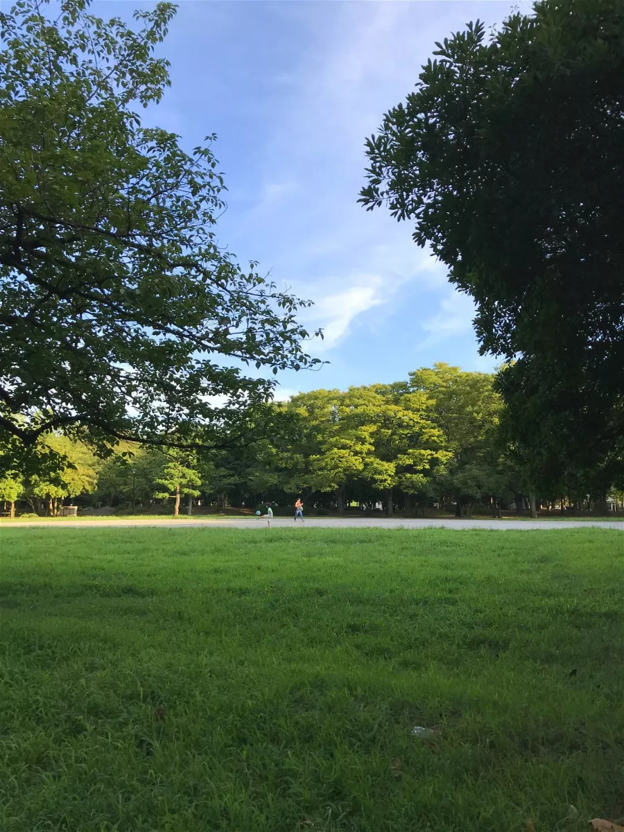 来东京,99%的人都错过了这个最安静,最文艺的地方|岩崎弥太郎|白河