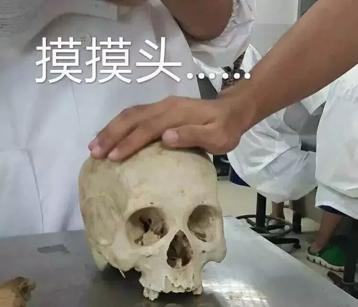 各行各业都有自己专用的表情包医生的表情包真是笑死人哈哈哈