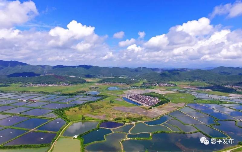 惊艳他们的镜头下恩平这个镇美爆了