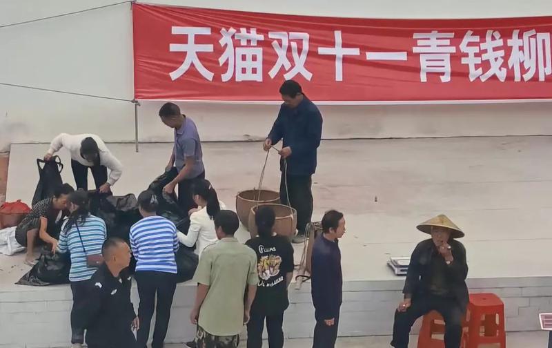 双11，购物车里的脱贫故事